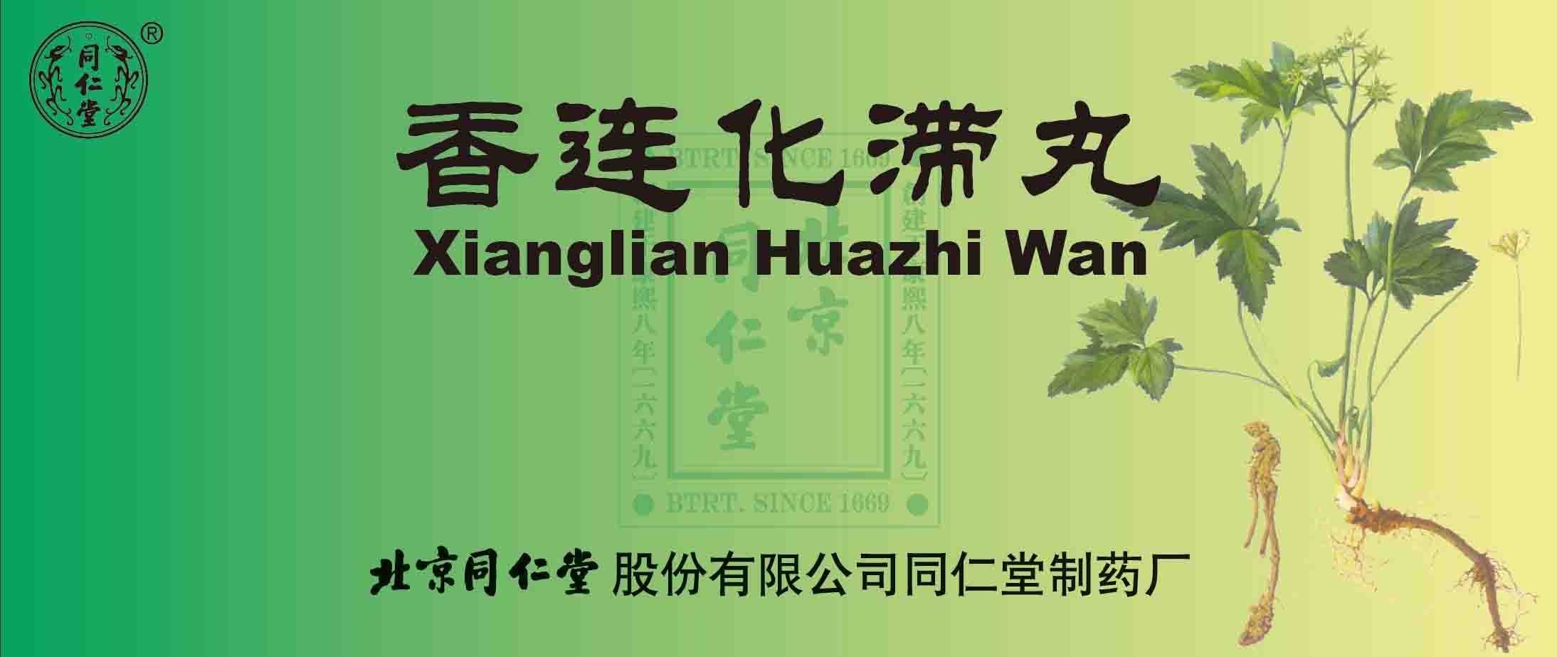 香连化滞丸