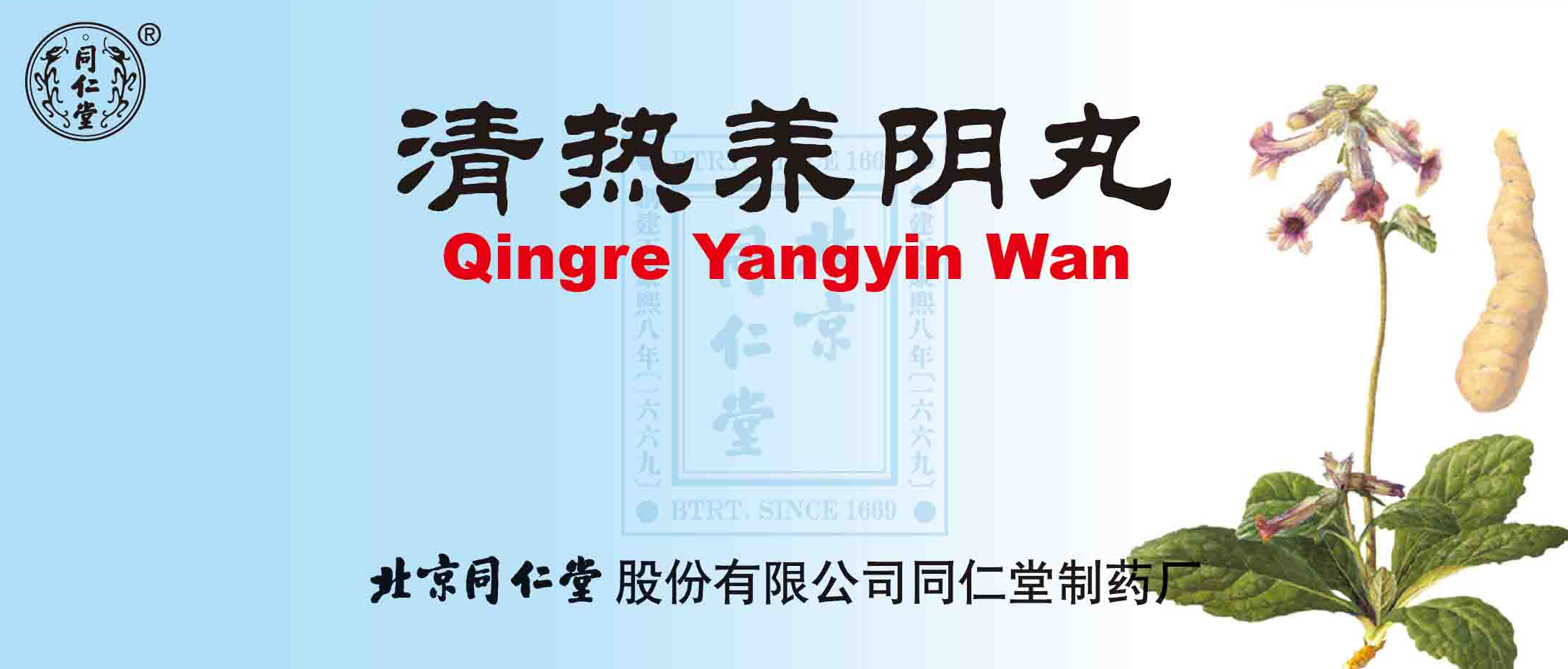 清热养阴丸